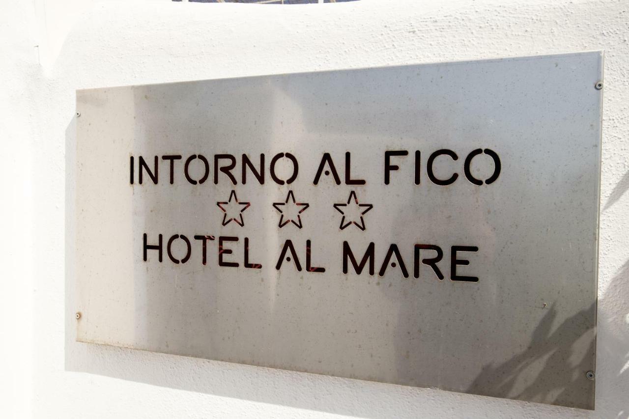 Hotel Intorno Al Fico فيوميتشينو المظهر الخارجي الصورة